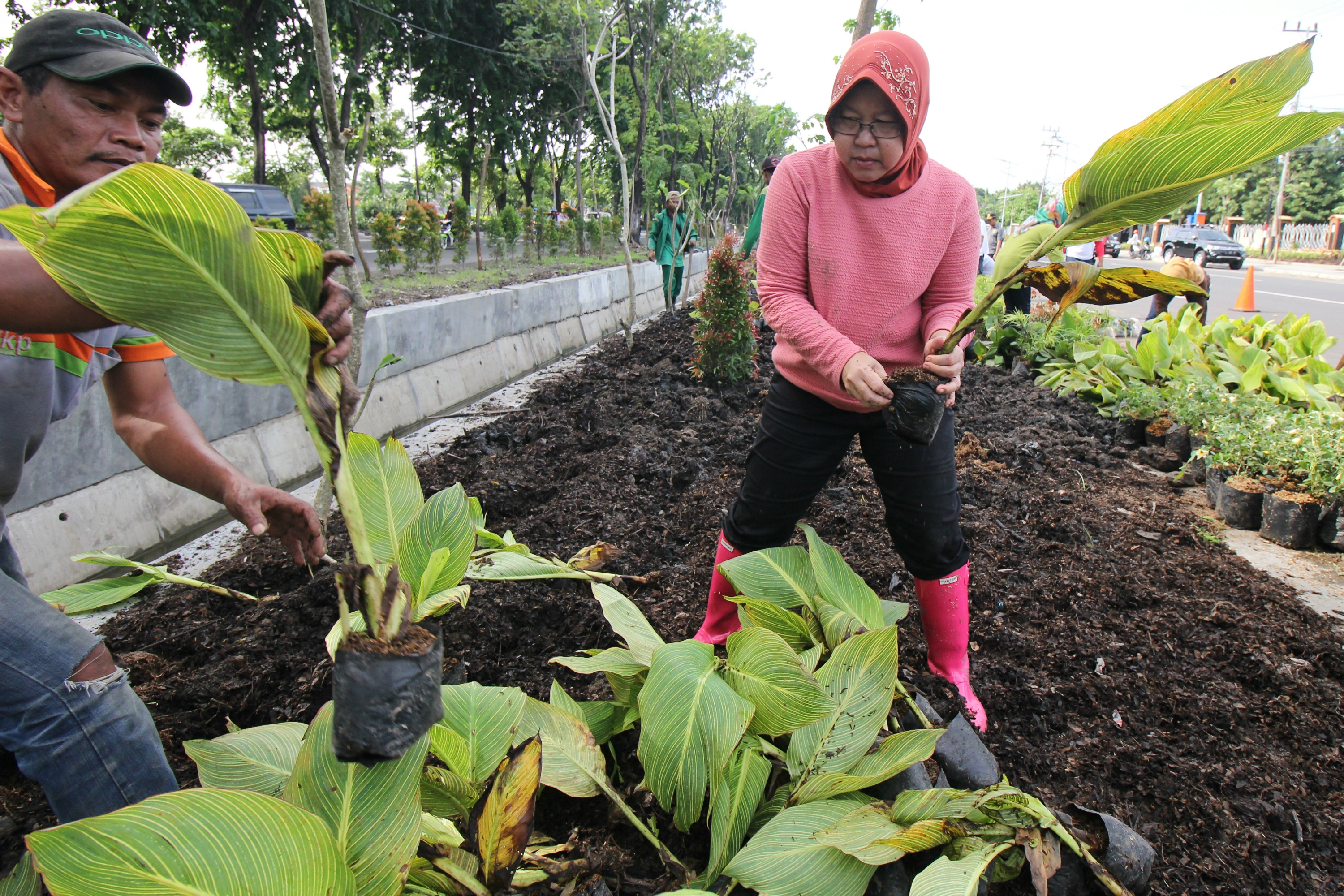 Berita forex minggu ini